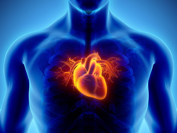 โรคหลอดเลือดหัวใจตีบ หรือ (Coronary artery disease)
