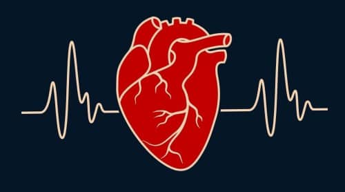 หัวใจวาย (Heart Failure) : อาการ สาเหตุ การรักษา