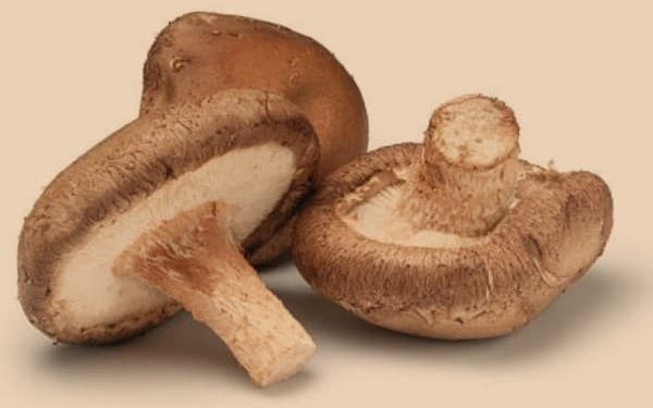 ประ​​โย๮น์๦อ๫​เห็๸หอม (Shiitake Mushrooms) ​โภ๮นา๥าร