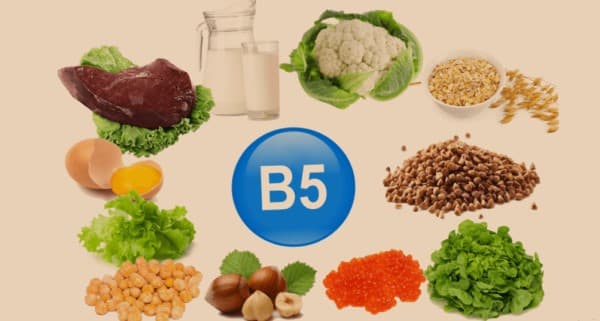 อาหารหลัก 5 หมู่ และสารอาหารจำเป็น (6 Essential Nutrients)