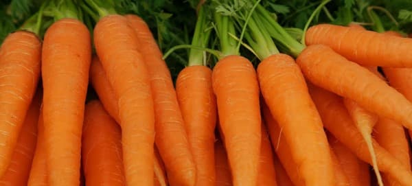 ประโยชน์ของแครอท (Health Benefits Of Carrots) - บทความสุขภาพ