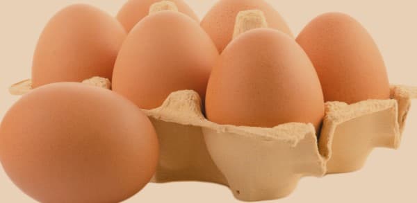 Health Benefits of Egg