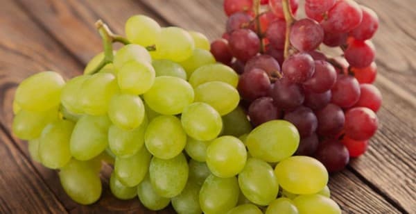 Health Benefits of Grape