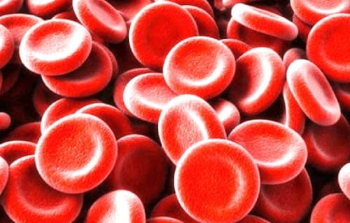 ตรวจนับจำนวนเซลล์เม็ดเลือดแดง