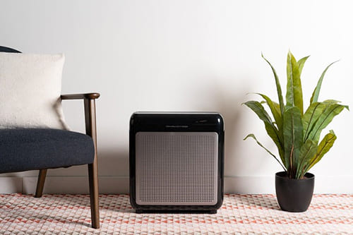 Do Air Purifiers Actually Work?