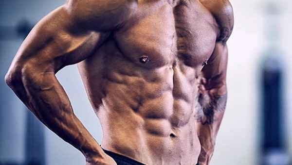 Can Bodyweight Exercises Build Muscle?