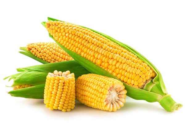 Is corn a vegetable?