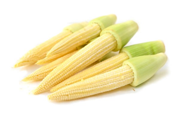 Baby Corn Healths Benefits