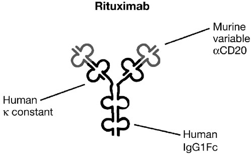 Rituximab